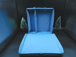 skipper case blue dove inside